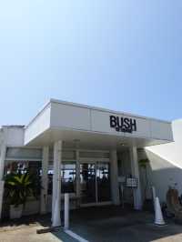 【和歌山】海と森に囲まれてオシャレなひととき☕️BUSH de Coffee
