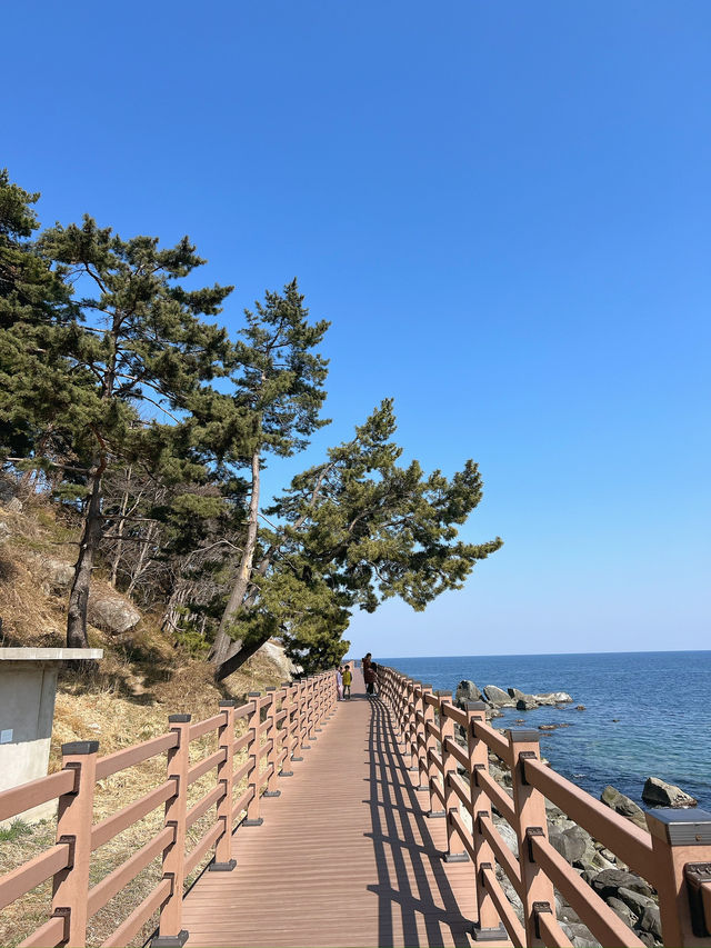 속초 가볼만한 곳! 사진 찍기 좋은 곳