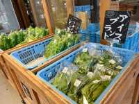 AKAGI FARMERS MARKET