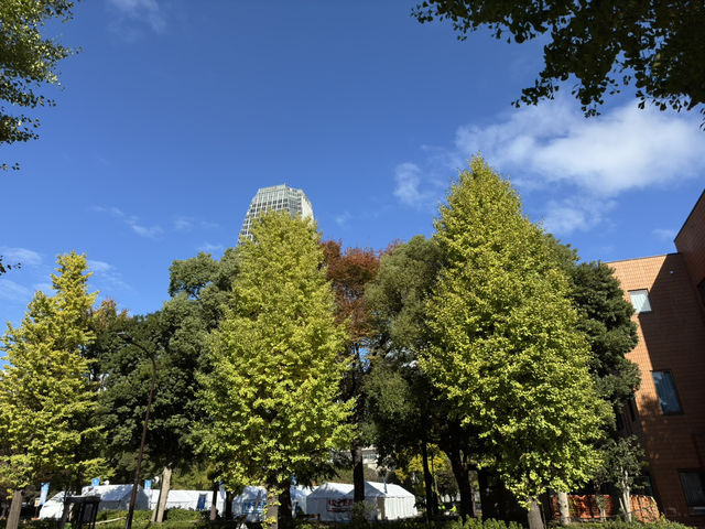 芝公園之旅：心靈的綠洲