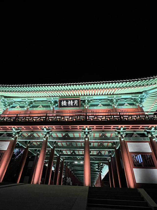 경주 야경 보기_ 월정교 !🌙