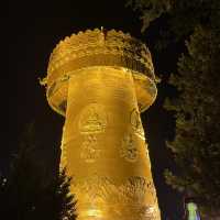 Starlit Escapade: Unveiling Guishan Park’s Nighttime Wonders