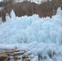 겨울왕국이 따로 없는 비슬산 얼음동산❄️