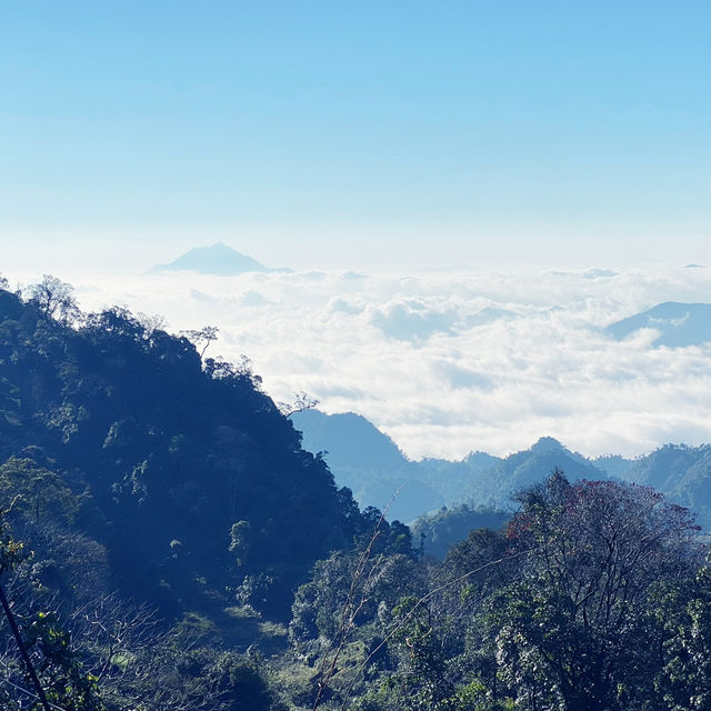 Viet Nam with moutain view