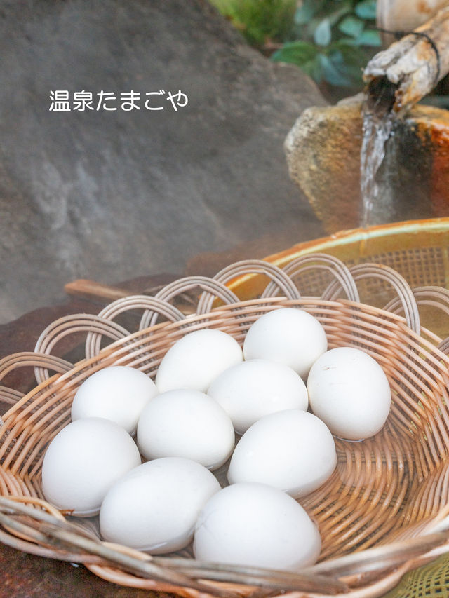 スノーモンキーに会いに行こう♪【地獄谷野猿公苑】