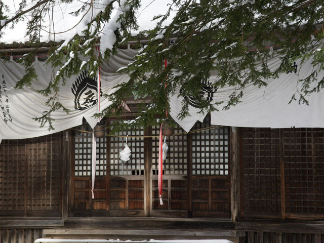 《長野県》地獄谷野猿公苑