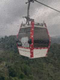 Scenic Maokong Gondola Ride to Tea and Tranquility