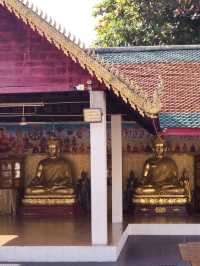 酉年生まれの方必見のお寺🇹🇭