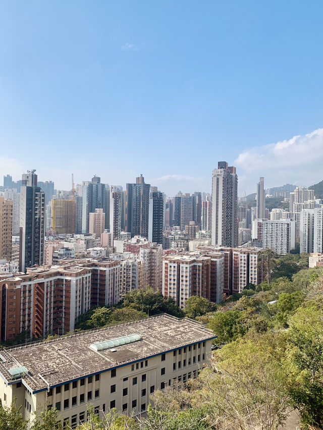 Urbanscape Hike - Easy Access 😍🥾