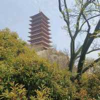 Nanjing Niushou mountain Half day trip 