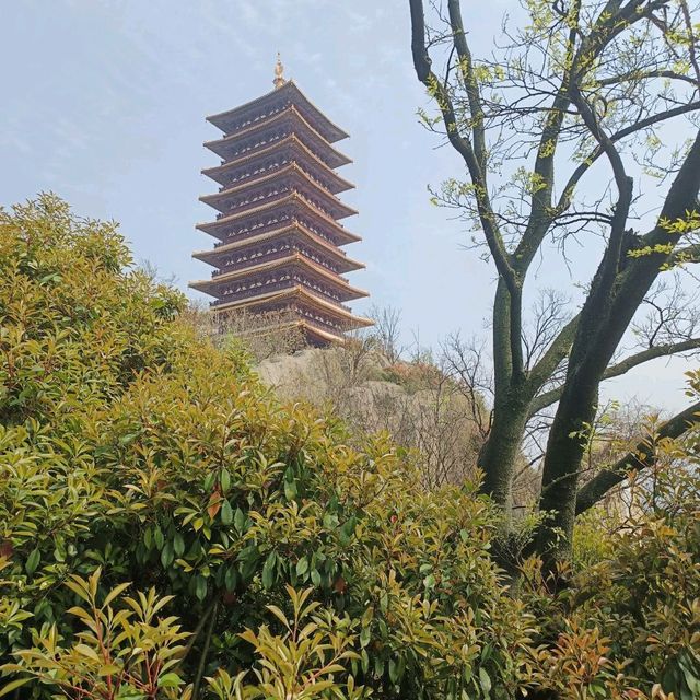 Nanjing Niushou mountain Half day trip 