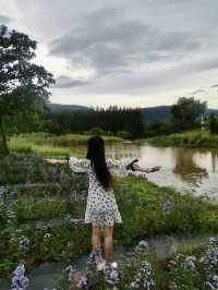 คาเฟ่ BUCOLIC Khaoyai บรรยากาศจัดเต็ม