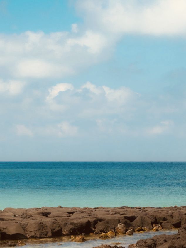 A Beach That Balances Surfing and Swimming