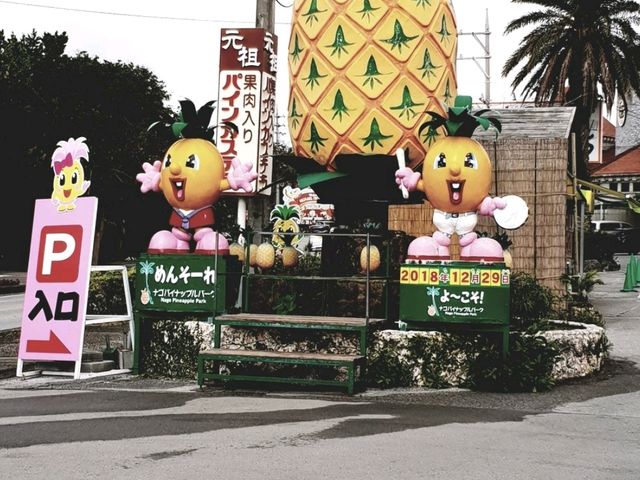오키나와를 혼여 추천여행지로 추천합니당