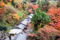 Night Photography Extravaganza -- The Kiyomizu-dera 