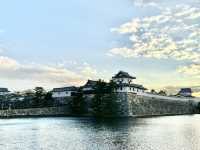 🇯🇵【愛媛県】幻想的なライトアップが人気！今治城🏯^ ^