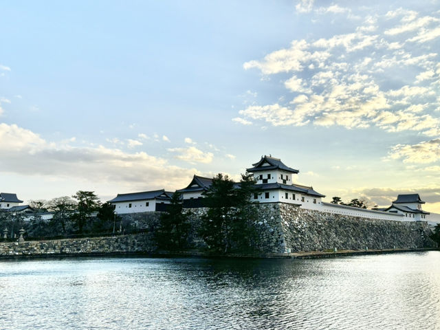 🇯🇵【愛媛県】幻想的なライトアップが人気！今治城🏯^ ^