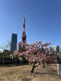 📍東京鐵塔——東京最經典的地標🗼