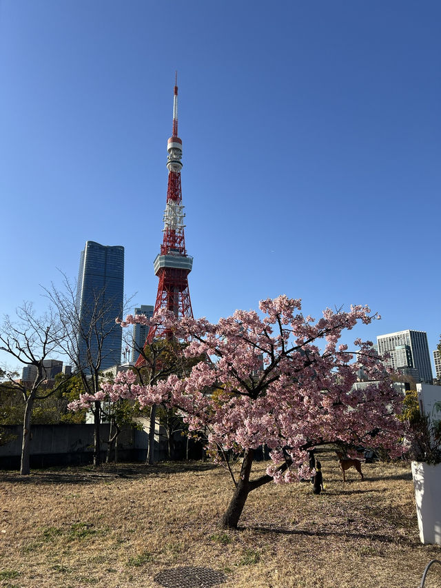 📍東京鐵塔——東京最經典的地標🗼
