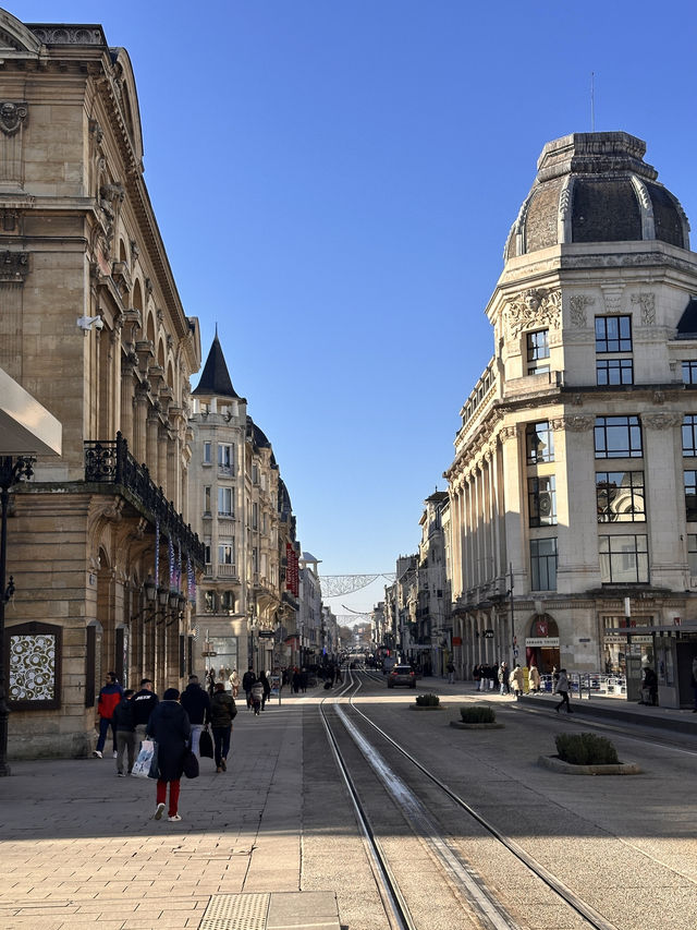 Reims: The Heart of Champagne & History