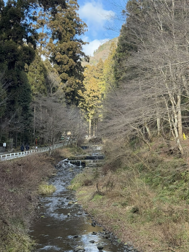 All about Kifune, Kyoto 🇯🇵