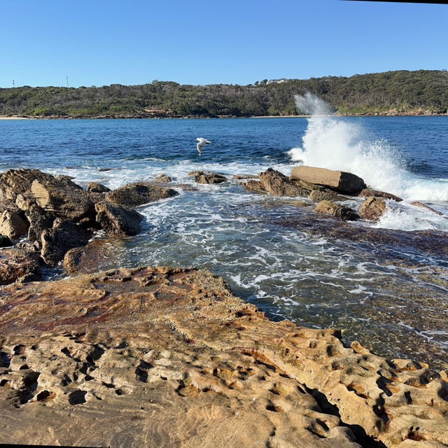 悉尼秘景 - 拉佩魯茲 La Perouse