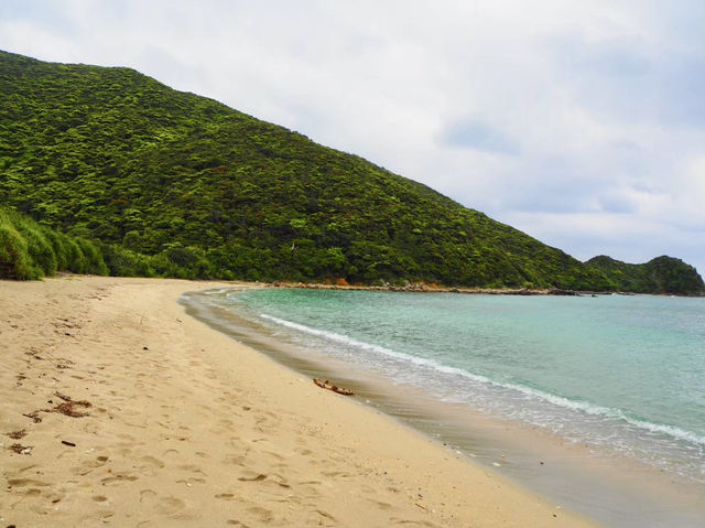 【奄美大島】世界自然遺産に泊まる　ホテルカレッタ