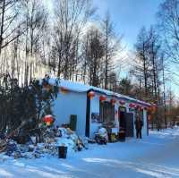Thrills & Chills: Yabuli Ski Resort Adventure 🏔️❄️🛷
