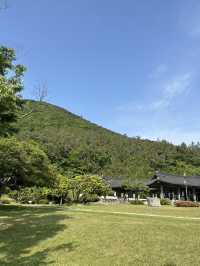 전남 진도 야외나들이 추천, 운림산방 