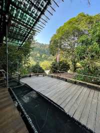 🇲🇾Hidden Nature Escape🌿Rainforest Treehouse Café Kulai