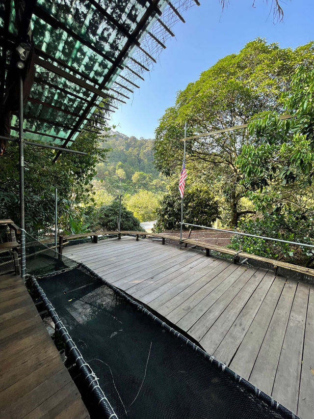 🇲🇾Hidden Nature Escape🌿Rainforest Treehouse Café Kulai