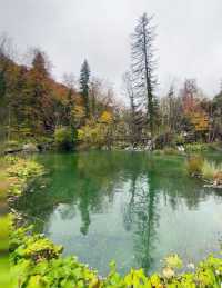 Breathtaking Journey Through Plitvice Lakes National Park