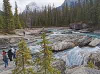 Discover the Serenity of Maligne Lake, Canada