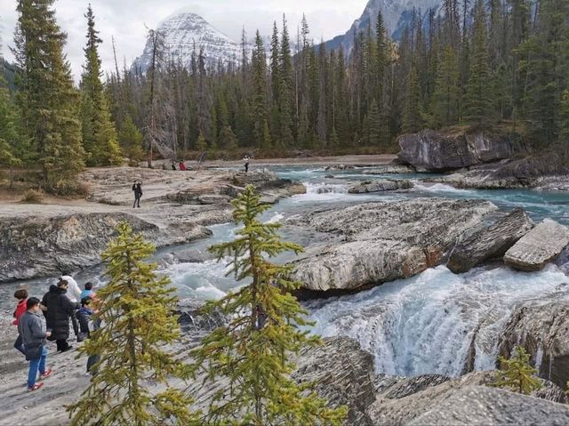 Discover the Serenity of Maligne Lake, Canada