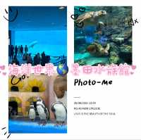 墨田水族館～暢游於水下奇幻世界