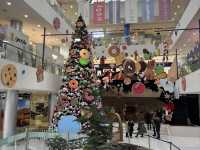 モンゴル🇲🇳のクリスマス・真冬