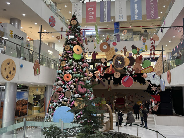 モンゴル🇲🇳のクリスマス・真冬