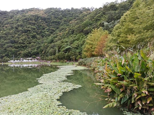 宜蘭員山景點-福山植物園