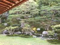 Hiyoshi Taisha: The Grand Shrine of Protection and History