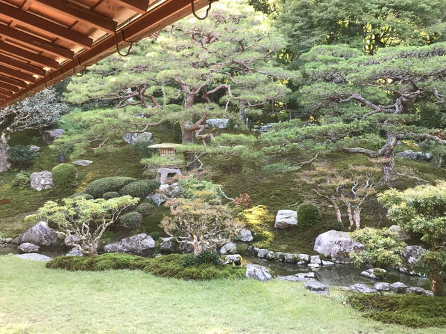 Hiyoshi Taisha: The Grand Shrine of Protection and History