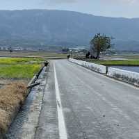 冬日田野漫遊-靜謐又美的旅程