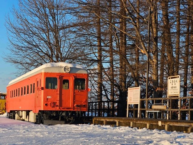 【北海道】雪の幸福駅