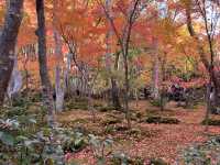A Sanctuary for the Heartbroken Souls  — The Gio-ji Temple in Arashiyama