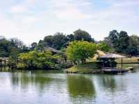 岡山必遊，日本三大名園之「後樂園」