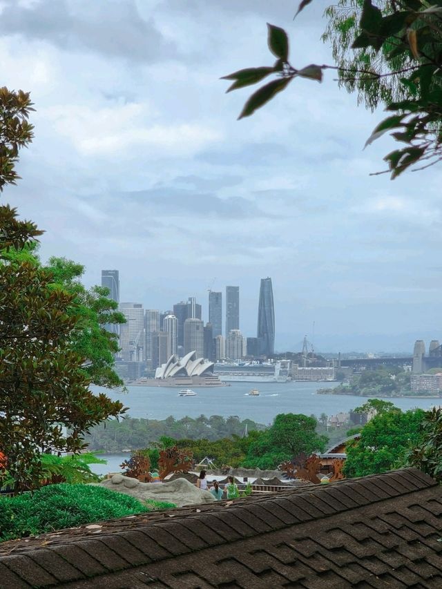Discovering the highlights of Sydney: The Opera House and Taronga Zoo