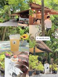 แนะนำ 4 คาเฟ่ที่ห้ามพลาด เมื่อไปพัทลุง