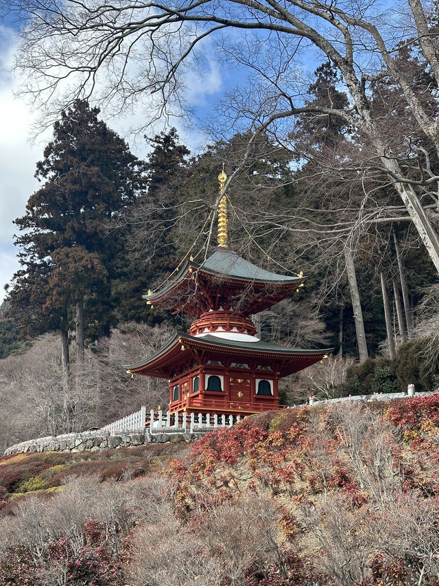 大阪勝尾寺半日遊，值得一去