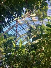 🏝️자연과 함께 역사깊은 온실을 구경하고 체험할 수 있는 🌴파리 5구 여행지💚