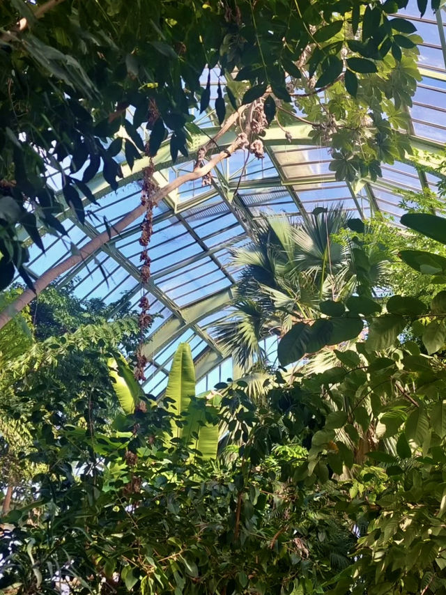 🏝️자연과 함께 역사깊은 온실을 구경하고 체험할 수 있는 🌴파리 5구 여행지💚