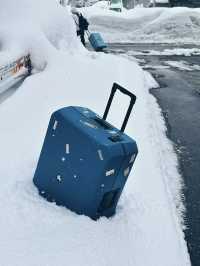 越後湯澤滑雪之旅：白雪皚皚中的美好回憶